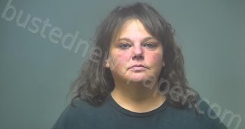 HAMEL, STEPHANIE ANN | 2024-10-19 02:22:00 Isabella County, Michigan Booking