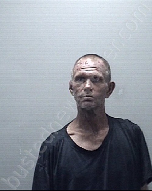 Musgrove, James L 20241019 215100 Harris County, Texas Booking