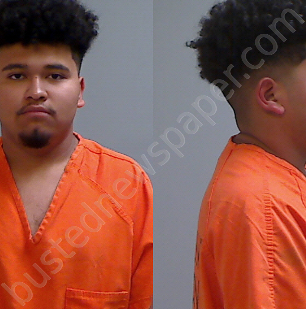 Delfin, Bryan Jesus 20241020 Hidalgo County, Texas Booking