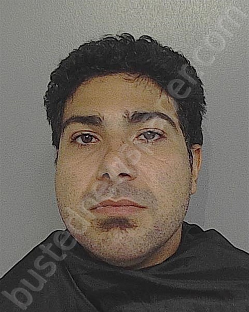 Sebastian Carrillo 20241020 Osceola County, Florida Booking