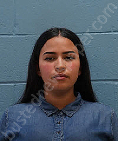 Michael Alexandra Gonzalez 20241020 Lee County, Alabama Booking