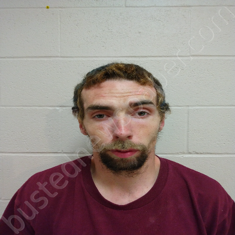 Fields, Edward Franklin 20241022 131000 Brown County, Texas Booking