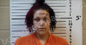 SHOOK, BROOKLYN CIARA | 2024-10-22 18:49:00 Cherokee County, North Carolina Booking
