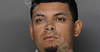 GONZALEZ, NOE ANDREW | 2024-10-23 20:35:41 Ellis County, Texas Booking