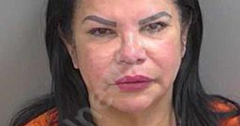 RAMIREZ,WALESKA | 2024-10-23 Collier County, Florida Booking