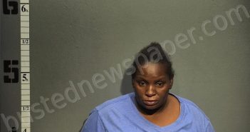 LEWIS, BRANDI ANGELINA | 2024-10-24 17:51:00 Western Tidewater, Virginia Booking