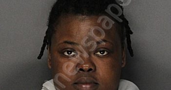 RICHARDSON, MICHELLE LEEANN | 2024-10-24 06:39:52 Ellis County, Texas Booking