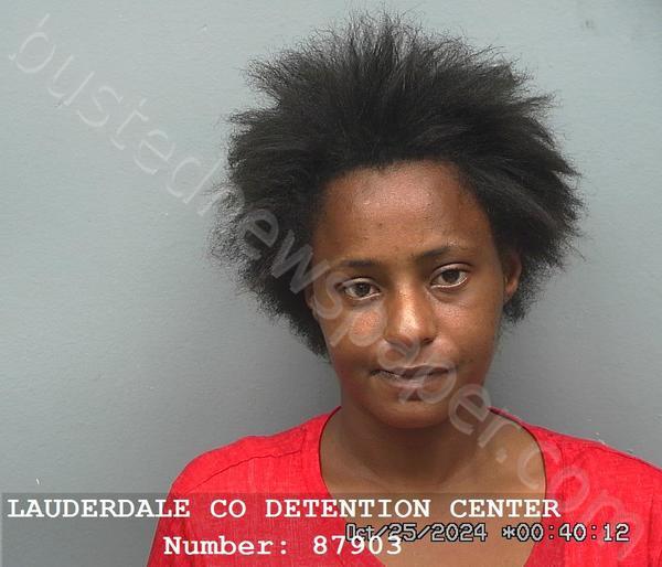 JOHNSON, KIMBERLY TIERA #, Lauderdale County, Alabama - 2024-10-24 23:30:00