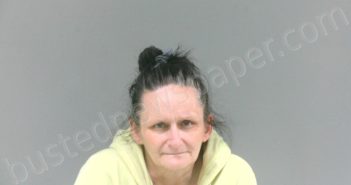 PAYNE, CHRISTEL GAIL | 2024-10-25 17:20:00 Mcdowell County, West Virginia, McDowell County, West Virginia Booking