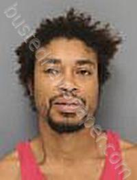 LEWIN, BRIAN RICARDO #, Medina County, Ohio - 2024-10-25