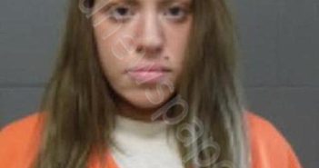 OSTRANDER, KENDRA C | 2024-10-27 16:20:00 Delaware County, New York Booking