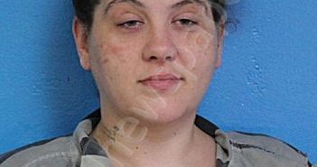 STIDHAM, SAMANTHA ANN | 2024-10-28 04:11:00 Sullivan County, Tennessee Booking