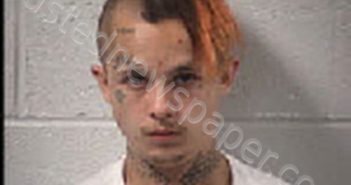 BROWN, TATEN HENRY | 2024-10-28 16:30:00 Transylvania County, North Carolina Booking