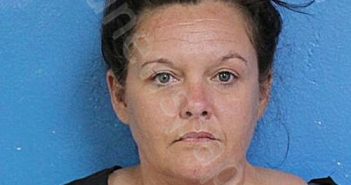 HARTLEY, TEQUILLA MARIE VANHOY | 2024-10-28 01:38:00 Sullivan County, Tennessee Booking