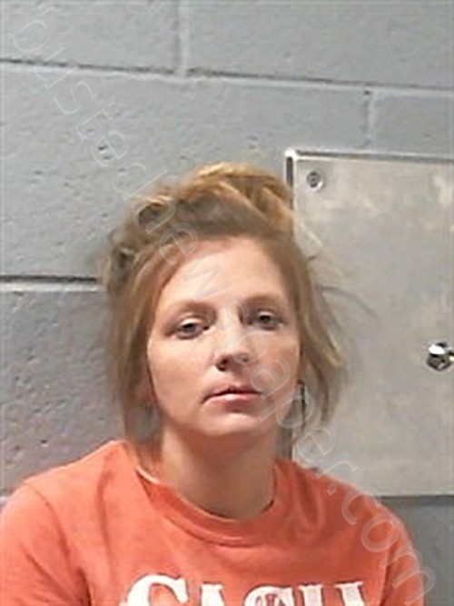 WILLIAMS, MICHELLE LEE #, Franklin County, Arkansas - 2024-10-29 09:17:00