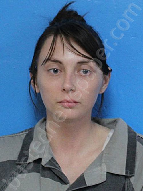 MCWILLIAMS, CHEYENNE J #, Sullivan County, Tennessee - 2024-10-29 22:44:04