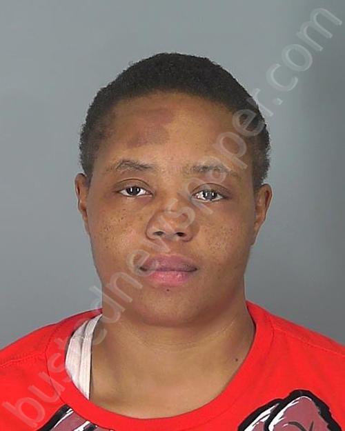 Canesha Marie Allen 20241029 234507 Spartanburg County, South