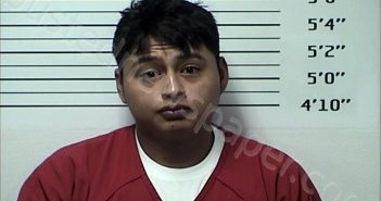 RODRIGUEZ <B>PEREZ</B>, GUILLERMO <B>ALEJANDRO</B> #, Rhea County, Tennessee - 2024-10-29