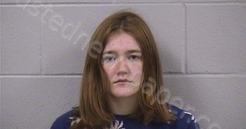 PRESTON, ELIZABETH RENEE | 2024-10-29 09:35:00 Dickinson County, Kansas Booking