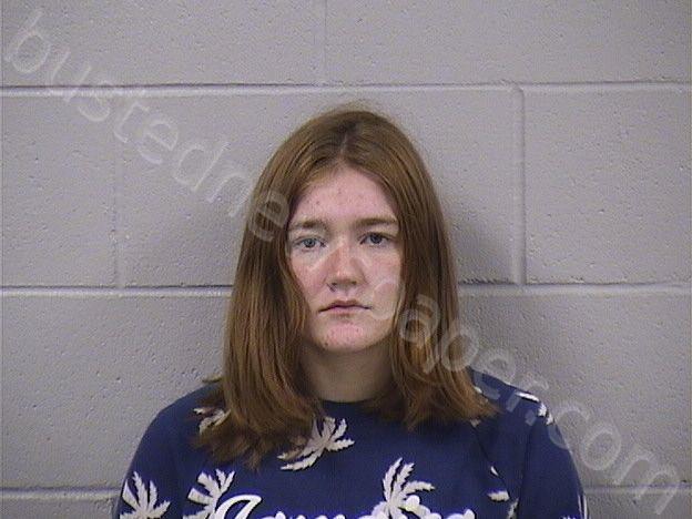 PRESTON, ELIZABETH RENEE #, Dickinson County, Kansas - 2024-10-29 09:35:00