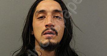 <B>ANGEL</B> <B>LUIS</B> <B>ALVAREZ</B> #, Chicago, Illinois, Cook County, Illinois - 2024-10-29