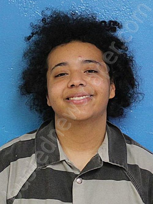 FORD, CHLOE BROOKE #, Sullivan County, Tennessee - 2024-10-29 18:01:00