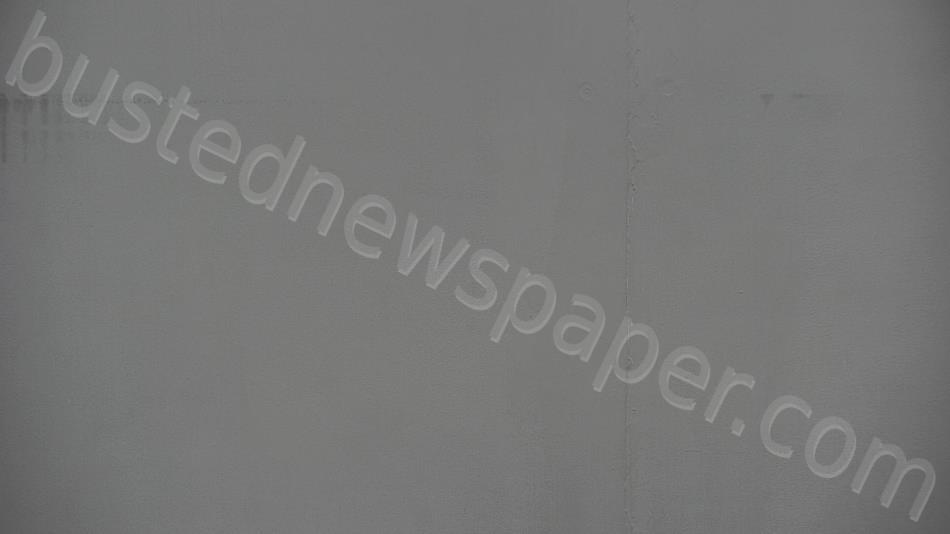 SPILLERS, BELINDA JANEE #, Vigo County, Indiana - 2024-10-29 01:05:00