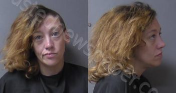 <B>JONES</B>, AMANDA <B>JOYCE</B> #, Madison County, Indiana - 2024-10-29 19:08:00