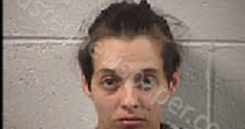 HUNTER, TESIA STARR | 2024-10-30 05:01:00 Transylvania County, North Carolina Booking