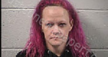 MCDONALD, SAMANTHA KAY | 2024-10-31 17:15:00 Transylvania County, North Carolina Booking