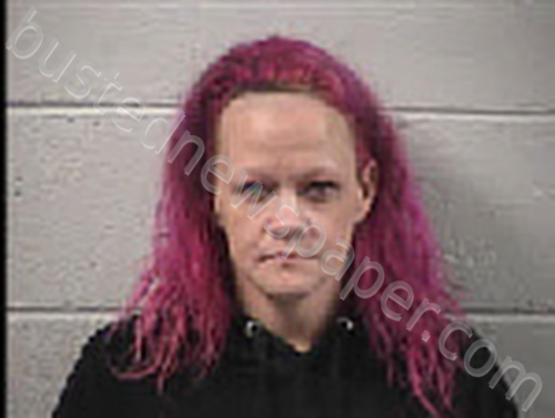 MCDONALD, SAMANTHA KAY #, Transylvania County, North Carolina - 2024-10-31 17:15:00