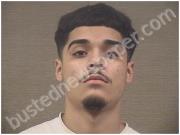 SEGURA, JET LI | 2024-10-31 Harnett County, North Carolina Booking