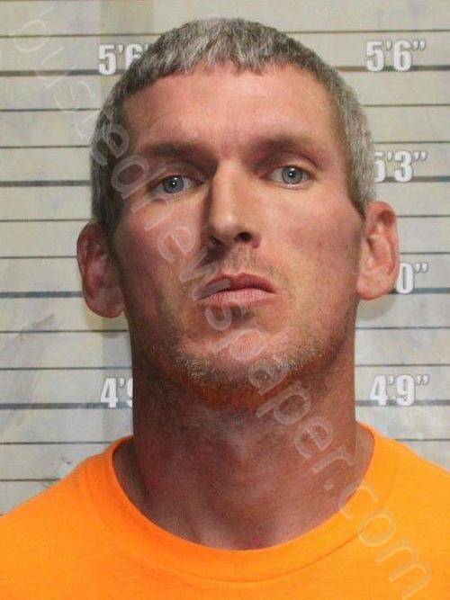 Forkner, Andrew Phillip 20241101 124300 Butler County, Ohio Booking