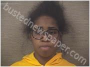 JOHNSON, DIAMOND | 2024-11-01 Harnett County, North Carolina Booking