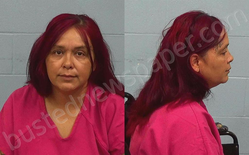 ALVARADO, MONICA TANYA #, Williamson County, Texas - 2024-11-01