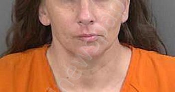 <B>COBURN</B>,<B>ANGELINE</B> <B>MARIE</B> #, Collier County, Florida - 2024-11-01