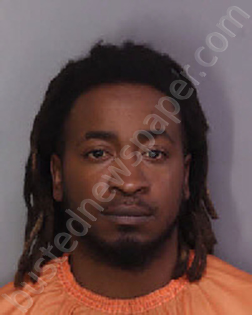 Martin, Mazik Marquize 20241102 203500 Florence County, South