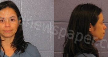 GUZMAN, BELINDA NICOLE | 2024-11-02 Andrews County, Texas Booking