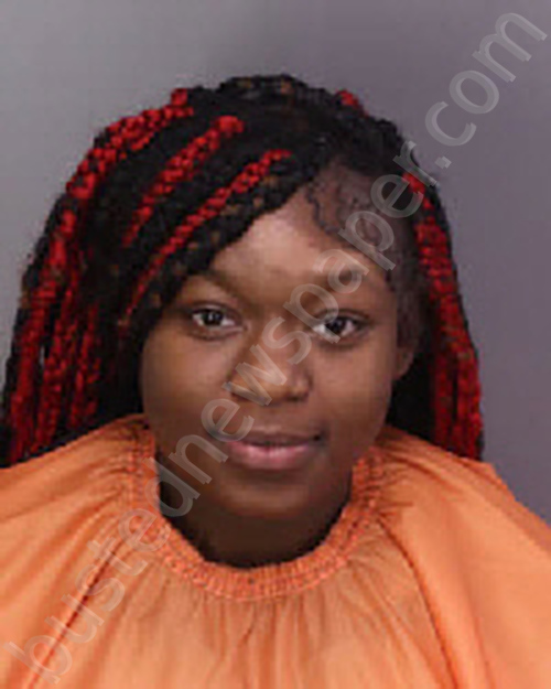 Davis, Cortajua Sharpelle 20241102 221800 Florence County, South