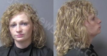 <B>MCBRIDE</B>, <B>KAYLA</B> <B>MARIE</B> #, Madison County, Indiana - 2024-11-02 20:12:00