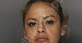 <B>GUTIERREZ</B>, <B>MARIA</B> <B>CONSECION</B> #, Ellis County, Texas - 2024-11-02 16:13:53