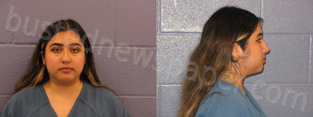 NAVARRETTE, SYDNEY MONIQUE #, Andrews County, Texas - 2024-11-03