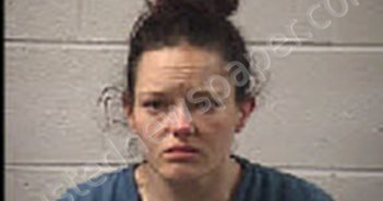 MCLENDON, ALICIA RENEE | 2024-11-03 04:51:00 Transylvania County, North Carolina Booking