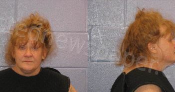 GOODWIN, CHRISTINA CELESTE | 2024-11-03 Andrews County, Texas Booking