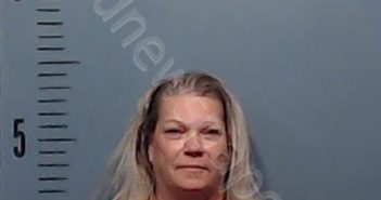 HUDSON, CHRISTINA ELAINE | 2024-11-03 Taylor County, Texas Booking