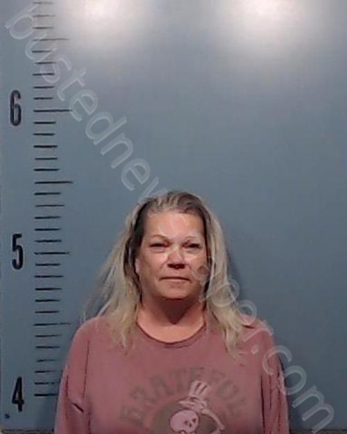 HUDSON, CHRISTINA ELAINE #, Taylor County, Texas - 2024-11-03