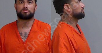 <B>PEREZ</B>, <B>OSCAR</B> GAYTAN, <B>JR</B>. #, Hidalgo County, Texas - 2024-11-03
