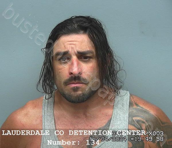 BURROWS, MATTHEW ALAN #, Lauderdale County, Alabama - 2024-11-04 11:30:00