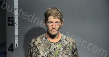 WILLIAMS, JOSHUA | 2024-11-04 18:06:00 Western Tidewater, Virginia Booking