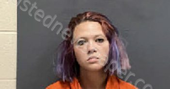 WAHLQUIST, BRITTNEY LEA | 2024-11-04 15:03:00 Houston County, Alabama Booking